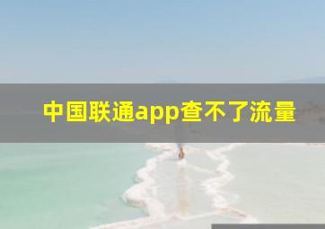 中国联通app查不了流量