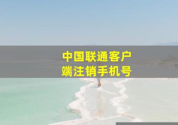 中国联通客户端注销手机号