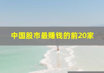 中国股市最赚钱的前20家