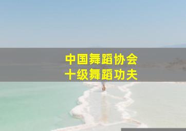 中国舞蹈协会十级舞蹈功夫