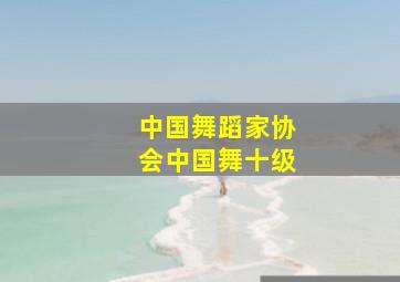 中国舞蹈家协会中国舞十级