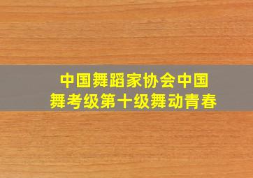 中国舞蹈家协会中国舞考级第十级舞动青春