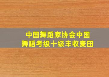 中国舞蹈家协会中国舞蹈考级十级丰收麦田