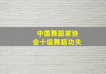 中国舞蹈家协会十级舞蹈功夫