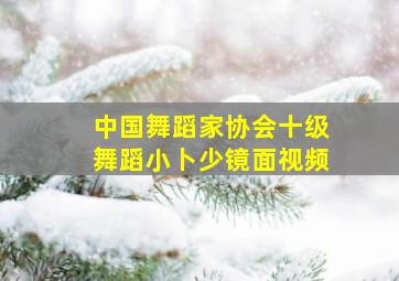 中国舞蹈家协会十级舞蹈小卜少镜面视频