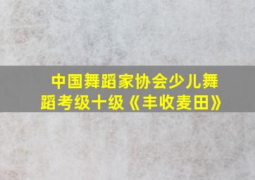 中国舞蹈家协会少儿舞蹈考级十级《丰收麦田》