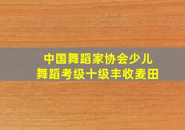 中国舞蹈家协会少儿舞蹈考级十级丰收麦田