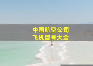 中国航空公司飞机型号大全