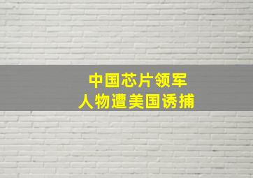 中国芯片领军人物遭美国诱捕