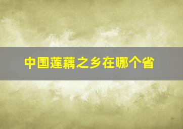 中国莲藕之乡在哪个省