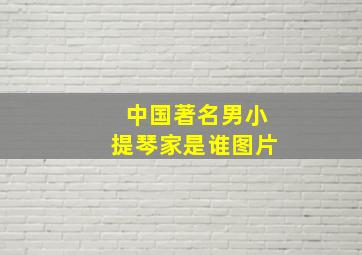 中国著名男小提琴家是谁图片