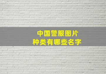 中国警服图片种类有哪些名字