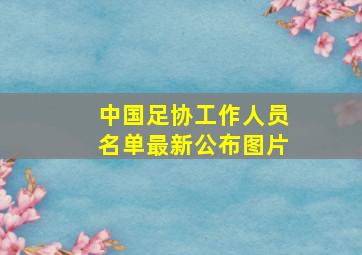 中国足协工作人员名单最新公布图片