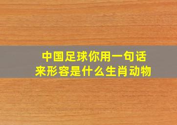 中国足球你用一句话来形容是什么生肖动物