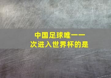 中国足球唯一一次进入世界杯的是