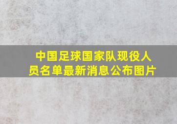 中国足球国家队现役人员名单最新消息公布图片