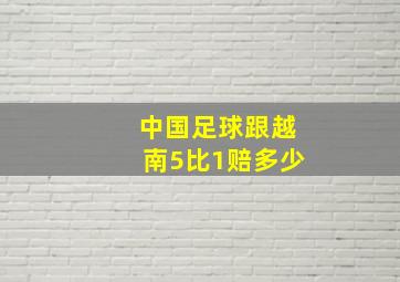 中国足球跟越南5比1赔多少