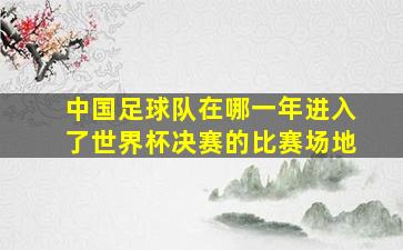 中国足球队在哪一年进入了世界杯决赛的比赛场地