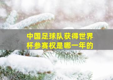 中国足球队获得世界杯参赛权是哪一年的