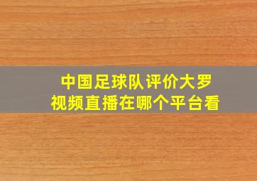 中国足球队评价大罗视频直播在哪个平台看