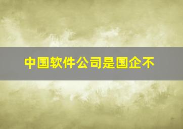 中国软件公司是国企不