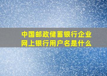 中国邮政储蓄银行企业网上银行用户名是什么