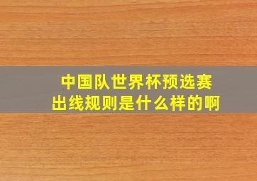 中国队世界杯预选赛出线规则是什么样的啊