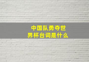 中国队勇夺世界杯台词是什么