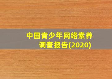 中国青少年网络素养调查报告(2020)