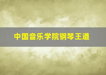 中国音乐学院钢琴王遒