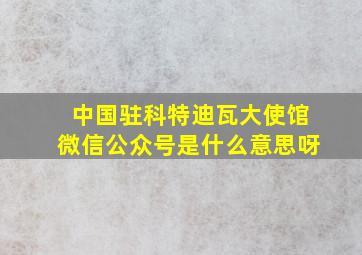 中国驻科特迪瓦大使馆微信公众号是什么意思呀