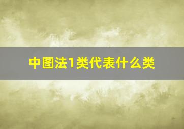 中图法1类代表什么类