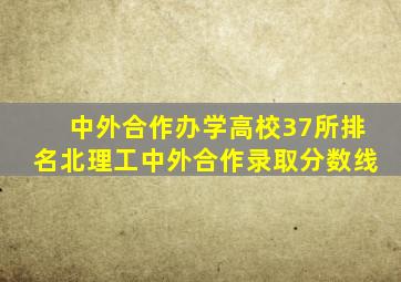 中外合作办学高校37所排名北理工中外合作录取分数线