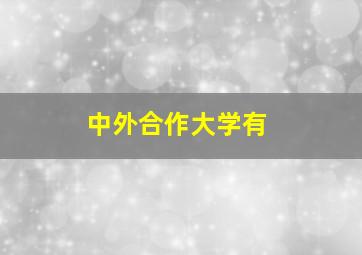 中外合作大学有