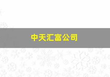 中天汇富公司