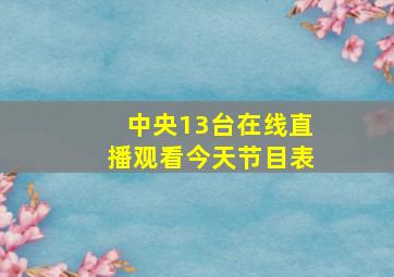 中央13台在线直播观看今天节目表