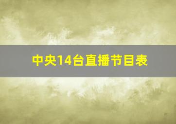 中央14台直播节目表