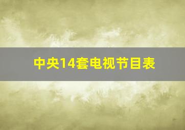 中央14套电视节目表