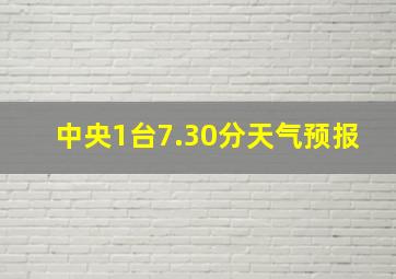 中央1台7.30分天气预报