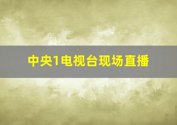 中央1电视台现场直播