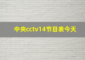 中央cctv14节目表今天