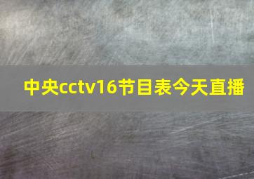 中央cctv16节目表今天直播