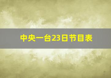 中央一台23日节目表