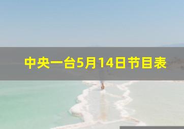 中央一台5月14日节目表