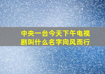 中央一台今天下午电视剧叫什么名字向风而行