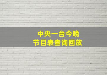 中央一台今晚节目表查询回放