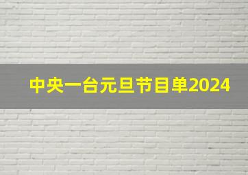 中央一台元旦节目单2024