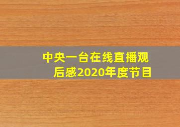 中央一台在线直播观后感2020年度节目