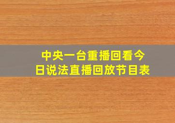 中央一台重播回看今日说法直播回放节目表