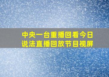 中央一台重播回看今日说法直播回放节目视屏